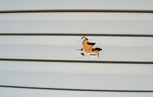 Siding Hole Repair in Holly Springs