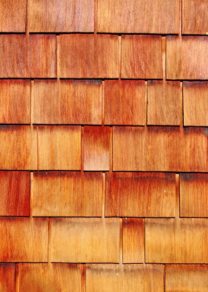 Cost of Wood Siding Replacement in Holly Springs