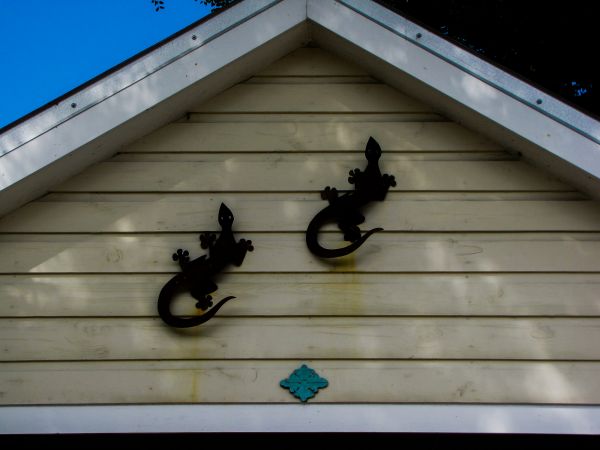 Cost of Shiplap Siding Installation in Holly Springs